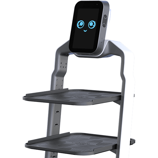 LuckiBot - AI Restaurant Service Robot